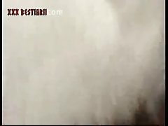 My Dog Ate Some Chocolate Now He's Sick As Fuck