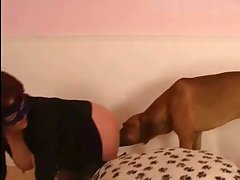 Dog Fuck Movie