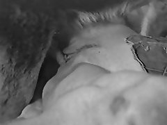 Whitney Wisconsin Fuck Dog