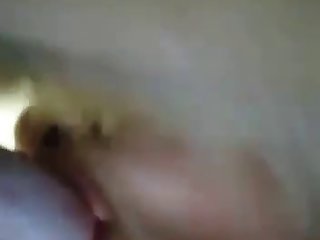 Animal Sex With Gils