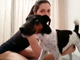 Animal Sex Video Pig