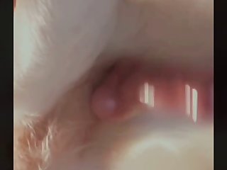 Animal Sex Movie.com