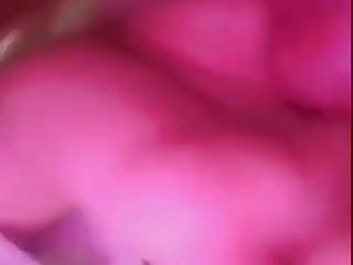 Animal Sex With Condom