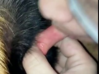 Animal Sex With Human Gif