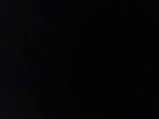 Doggy Style Zoo Porn