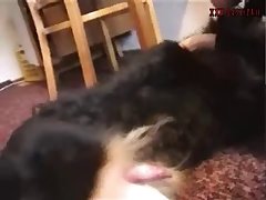 Speak Fuck Dog