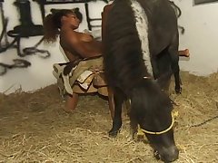 Painful Fuck By Dog