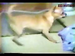 German Dog Fuck Girl