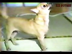 German Dog Fuck Girl