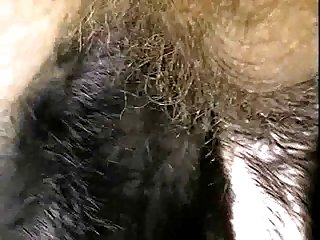 Man Fuck Little Dog Porn