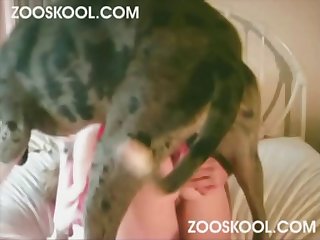 Zoophilie Demo