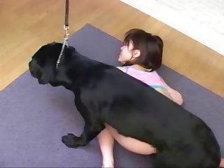 Pissing On A Dog Porn