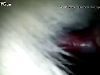 Guys Having Animal Sex