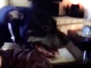 Animal Sex Video Dog