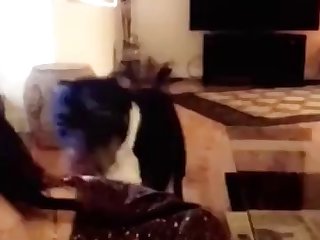 Animal Sex Video Dog