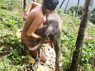 Spy Dog Porn