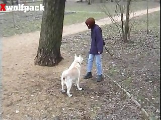 Dog Porn German Shepherd