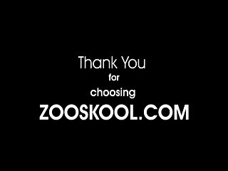 Art Of Zoo Stars