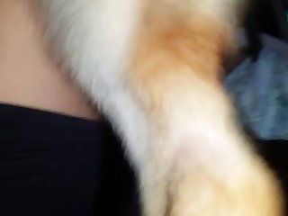 Assistir Video De Sexo