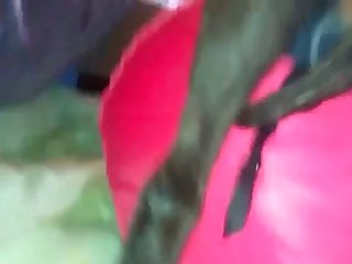 Video De Sexo Oral Gratis