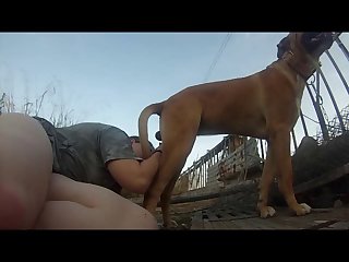 Mulher Transando Com Cachorro Pitbull