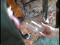 Dog Fuck Girl Scream