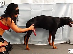 Horse Transformation Porn