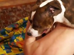 Dog Anime Porn