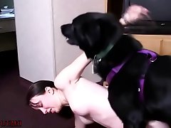 Man Fucks Small Dog Porn