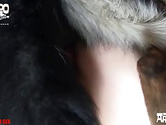 Dog Licks Pussy Porn