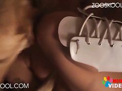 Gay Zoofilia