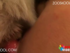 Gay Zoofilia