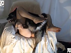 Dog Porn Videos