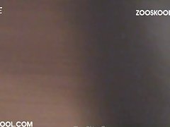 Zoo Porn Dog