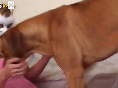 Horny Dog Porn