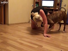 Cartoon Horse Cock Porn