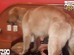 Ai Generated Horse Porn