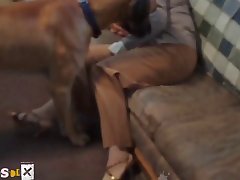 Dog Porn Comics