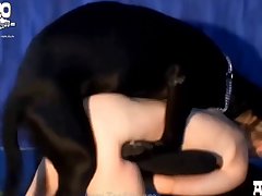 Lara With Horse Porn