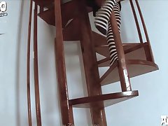 Dog Lick Pussy Porn