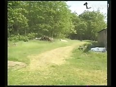 Cartoon Horse Pussy Porn