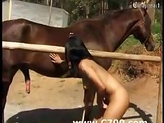 Cumming In My Dog Porn