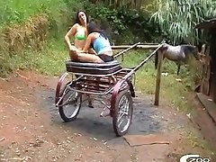 Girls Sucking Dog Cock Porn