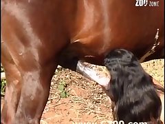 Furry Dog Porn Gay