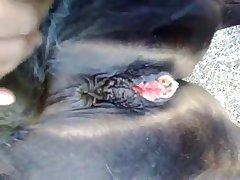 Mori Calliope Horse Audio Porn