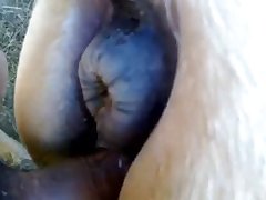 Mori Calliope Horse Audio Porn