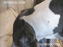 Dog Fuck Woman Throat