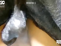 My Wife Loves To Fuck The Dog