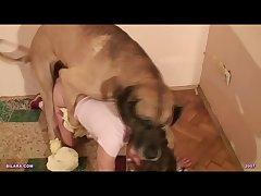 Furry Horse Girl Porn