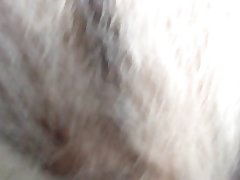 Furry Female Horse Porn